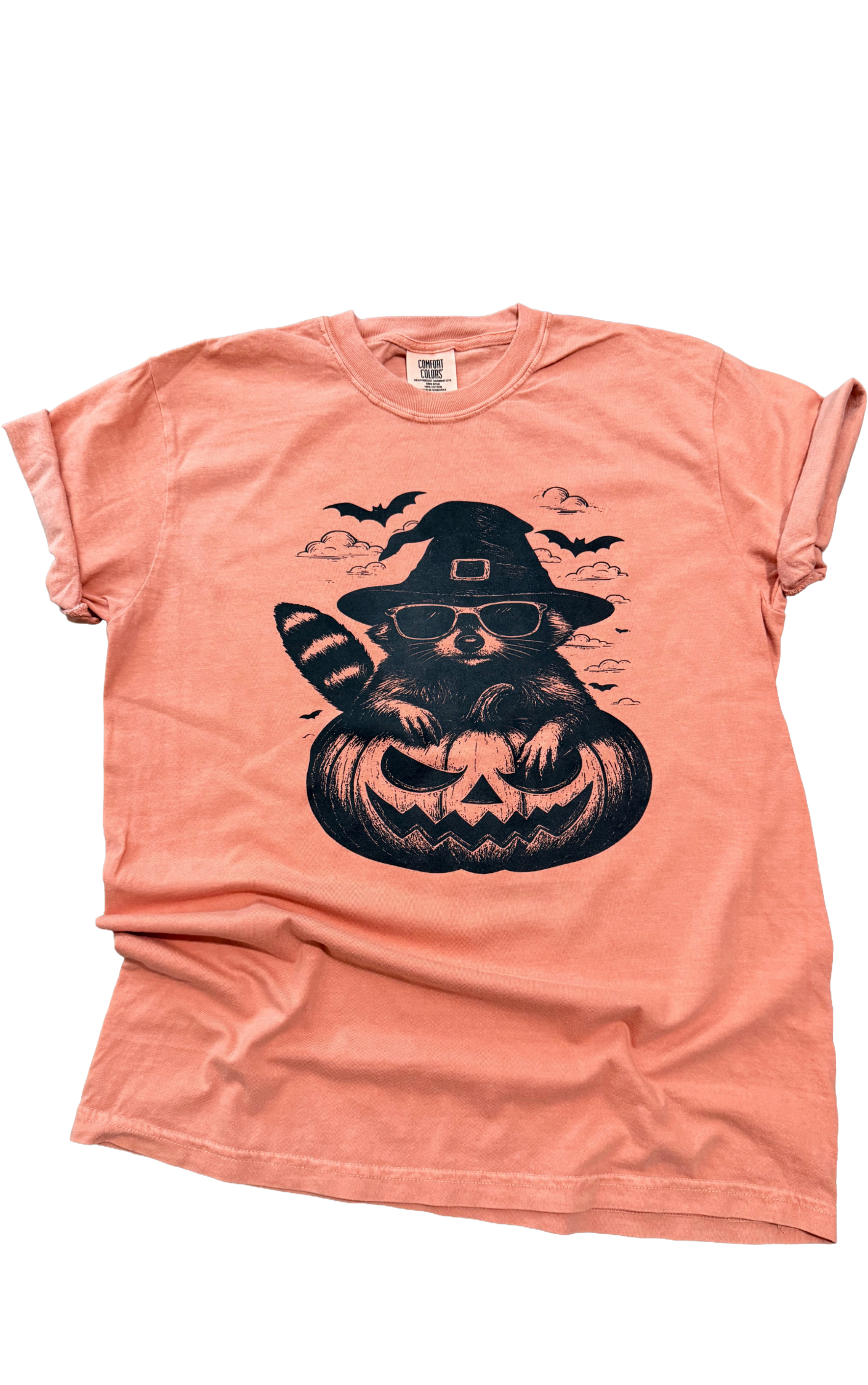 Witchy Raccoon Pumpkin Tee